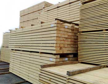 Timber TB-01