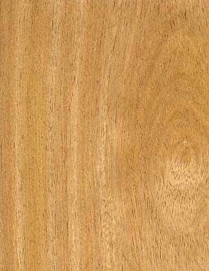 Wood Veneer DV-01