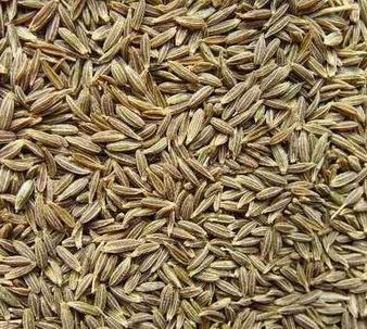 Cumin seeds, Packaging Size : 50kg