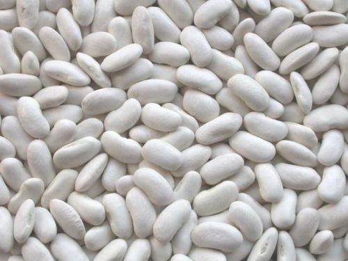White kidney beans, Material : Beans