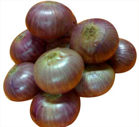 Onion