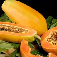 Papaya Pulp