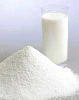 Skimmed Milk Powder