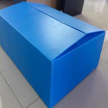 Plain PP Flute Box, Color : Blue