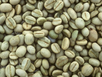 Coffee beans, Cultivation Type : Organic
