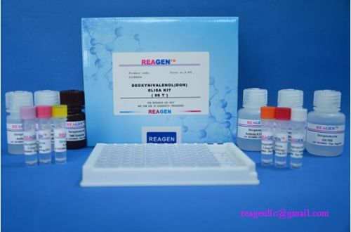 Ciprofloxacin Elisa Test Kit, Brand Name : REAGEN, Certificate : IOS