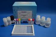 Neomycin Elisa Test Kit, Brand Name : REAGAN, Certificate : IOS