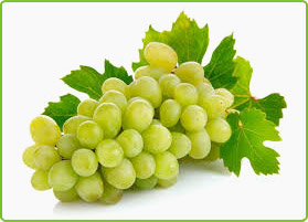 Organic Fresh Grapes, Shelf Life : 7-10days