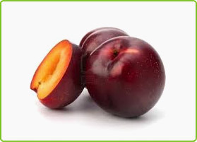 Organic Fresh Plum, Packaging Type : Corrugated Box