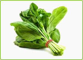 Fresh Spinach, Shelf Life : 5-7 Days