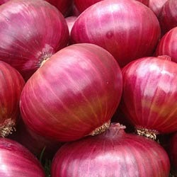 Red Onion