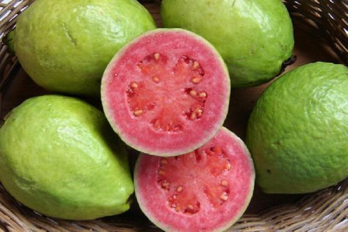 Round Fresh Pink Flesh Guava