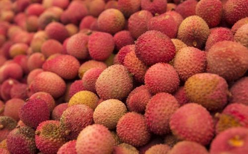 Fresh Lychee