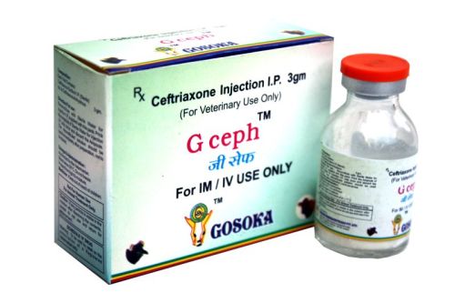 G Ceph Injection