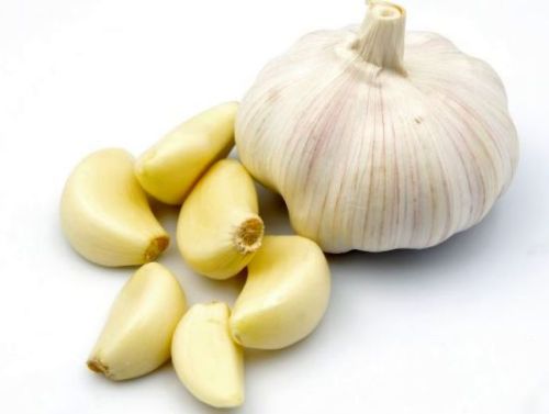 Organic Fresh Garlic, For Cooking, Style : Solid