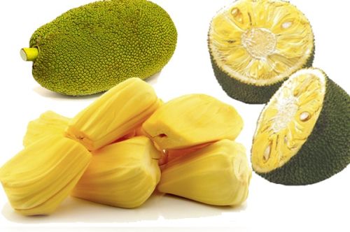 Fresh Jackfruit, Packaging Type : Plastic Bag