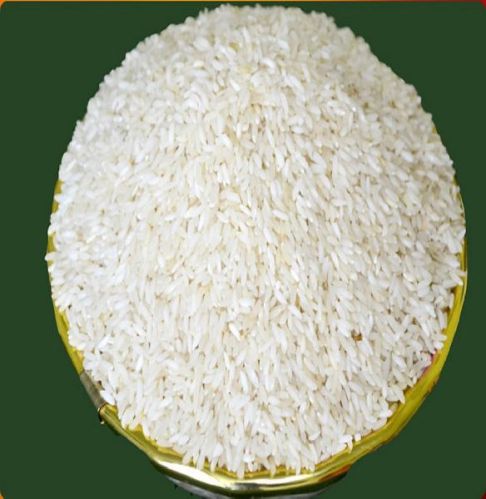 IR 8 Non Basmati Rice, Variety : Long Grain