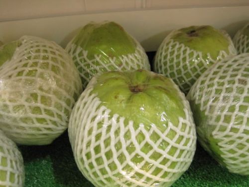 Guava