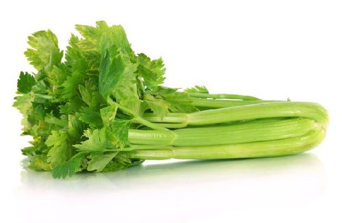 Natural Celery, Feature : Full With Iron, Good For Health, High In Vitamin D, Nutritious, Protein