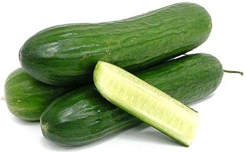 LEBANESE CUCUMBER