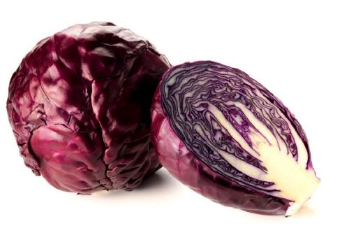 Red Cabbage