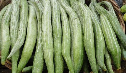 String Beans