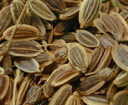 Dill Seed Oil, Variety : Ocimum Basilicum, Ocimum Sanctum