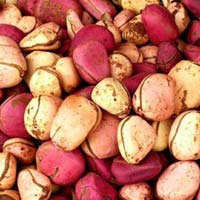 Common Kola Nuts, Brand Name : Quantifix Global, Form : 2kg