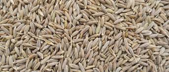 Cumin Seeds, For Cooking, Feature : Improves Acidity Problem, Premium Quality