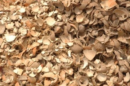 Coconut Shell Chips, Color : BROWN