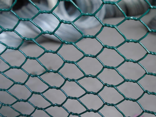 PVC Coated Wire Mesh