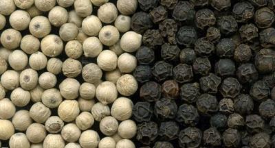 Pepper Seeds, Shape : 24 Month