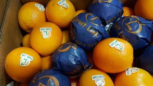 Valencia Orange, Certification : ISO 9001