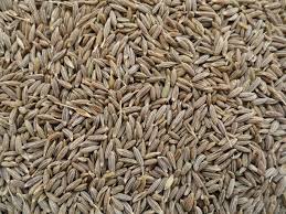 Cumin Seeds