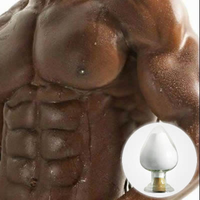 High Quality Muscle Building Steroid Tibolone Acetate