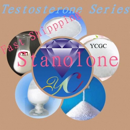 Stanolone Steroid