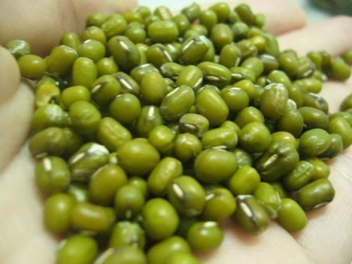 Whole Green Moong Dal