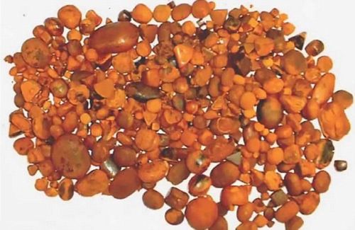 Ox Gallstone