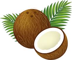 Fresh coconut, Packaging Size : 25-50kg