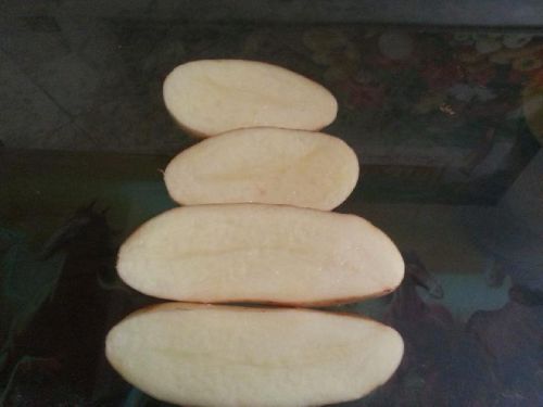 Fresh potato, Brand Name : Alragab