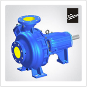 Solid Handling Pumps