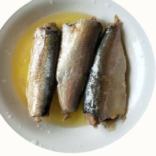 Canned Sardines for Food
