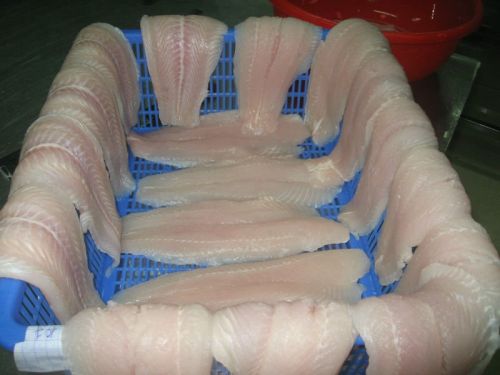 Frozen Pangasius Fish Fillet, Shape : Piece