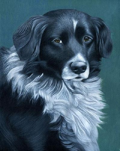 PET Portrait Painting