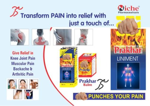 PRAKHAR Liniment, Shelf Life : 3years