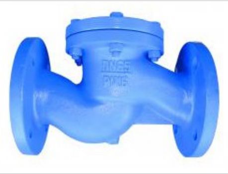 Lift Up Type Check Valve