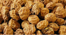 Tiger Nuts