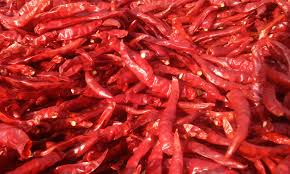 Dried Red Chilli