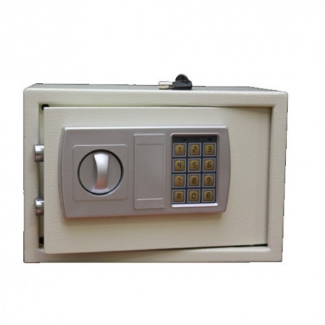 Electronic Safes