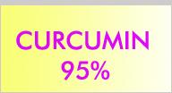 Curcumin 95%